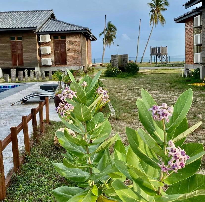 The Skepeng Apartment Kampung Penarik Екстериор снимка